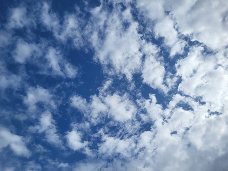 Beautiful, medium-altitude clouds.